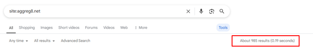 Website with 985 Indexed Pages