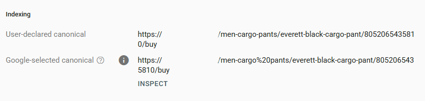 Canonical URLs
